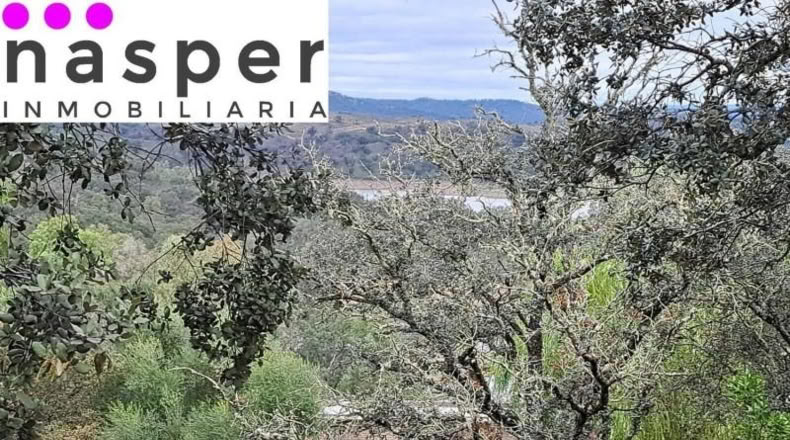 Sevilla - Guillena - 1170m2