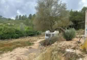 Terreny no urbanitzable en venda a la España, el Perelló, ref.: TR123089 foto