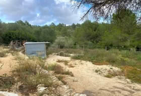 Foto 9