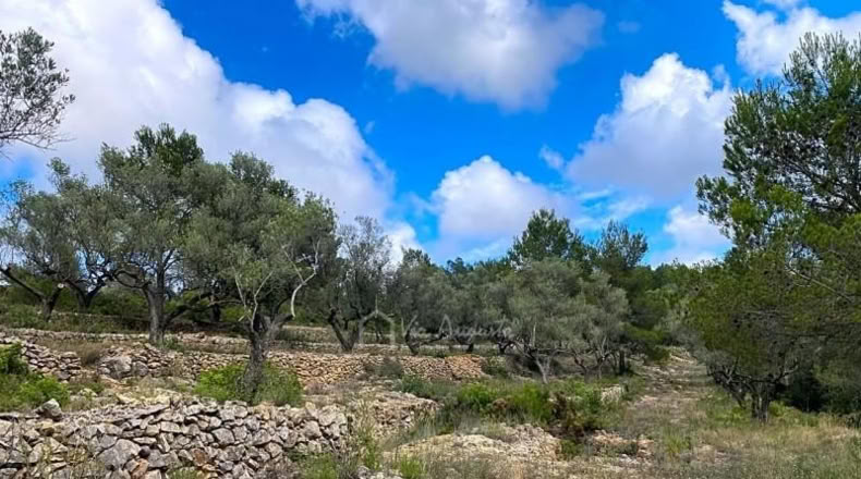 Tarragona - el Perelló - 9624m2