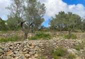 Terreny no urbanitzable en venda a la España, el Perelló, ref.: TR123089 foto