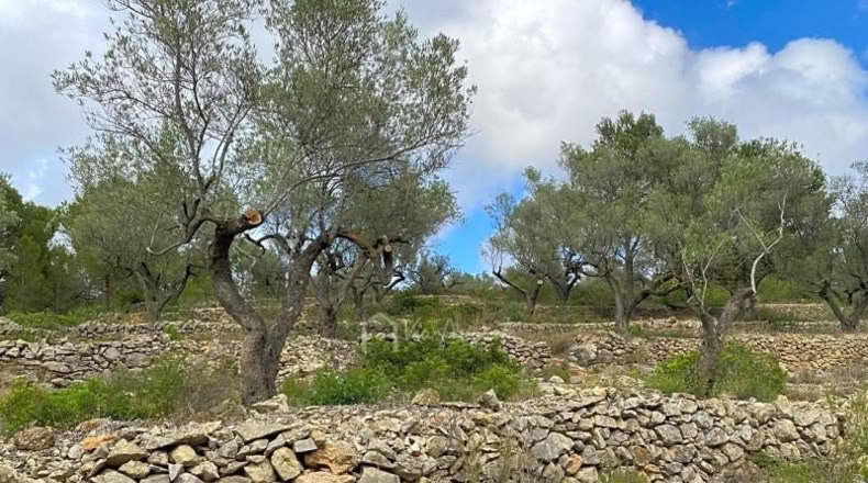 Tarragona - el Perelló - 9624m2