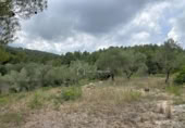 Terreny no urbanitzable en venda a la España, el Perelló, ref.: TR123089 foto