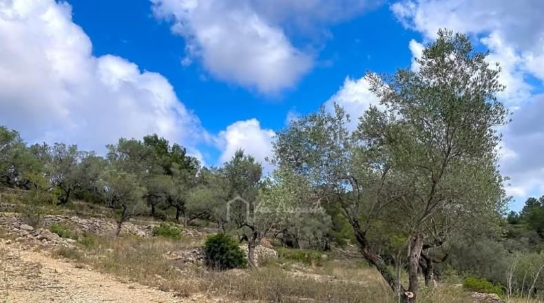 Tarragona - el Perelló - 9624m2