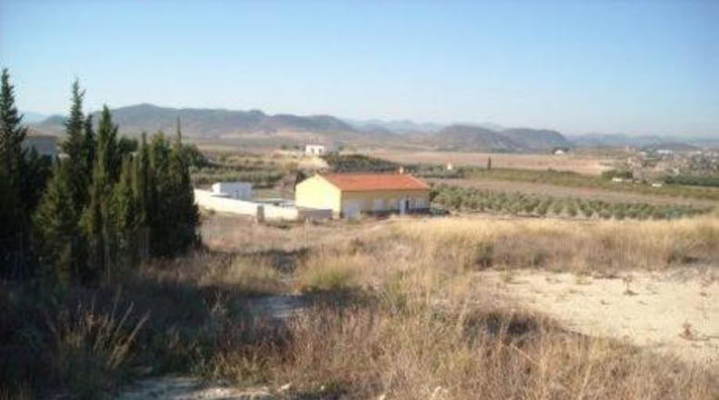 Múrcia - Calasparra - 5300m2