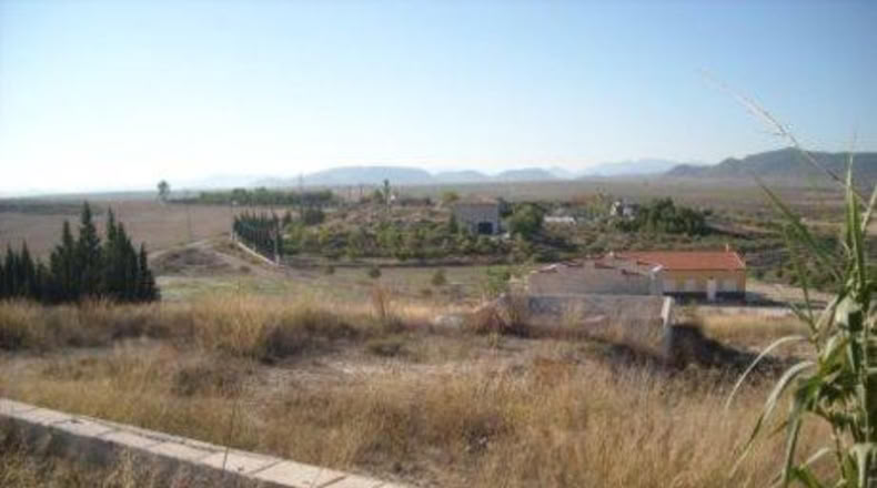 Múrcia - Calasparra - 5300m2