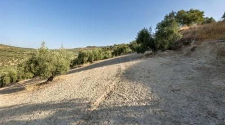 Granada - Alfacar - 10580m2