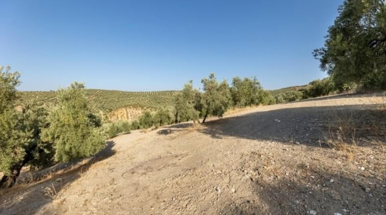 Granada - Alfacar - 10580m2