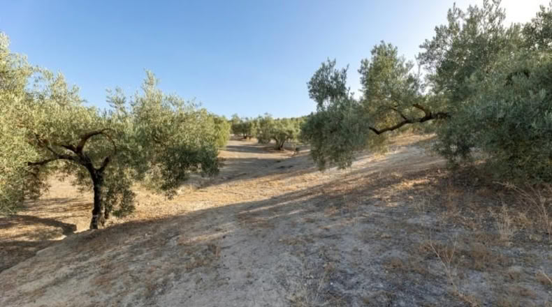 Granada - Alfacar - 10580m2