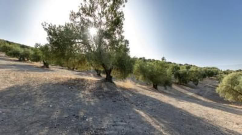 Granada - Alfacar - 10580m2