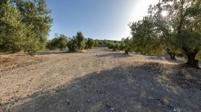 Granada - Alfacar - 10580m2