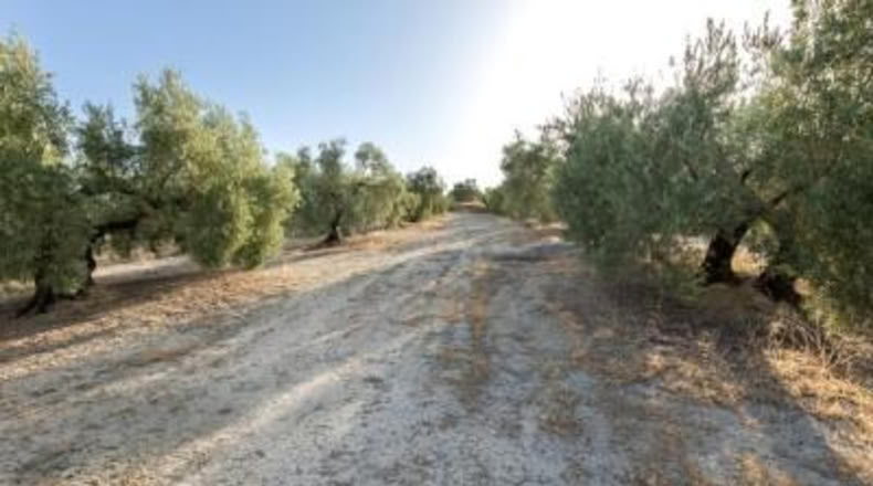 Granada - Alfacar - 10580m2