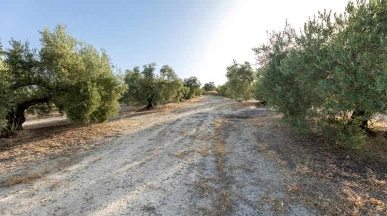 Granada - Alfacar - 10580m2