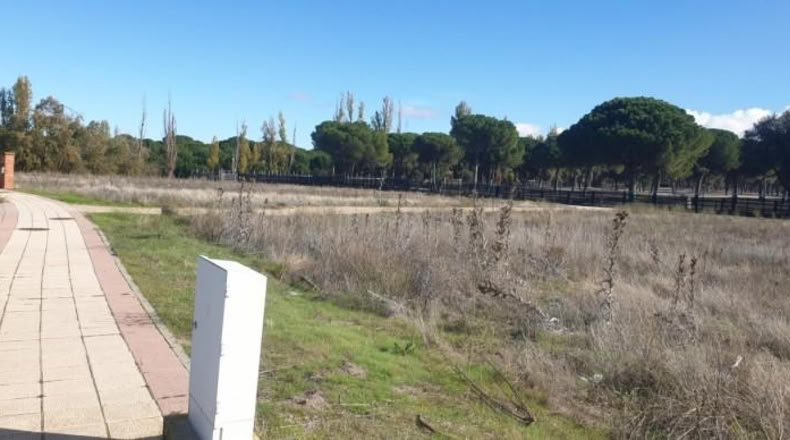 Valladolid - Aldeamayor de San Martín - 1184m2