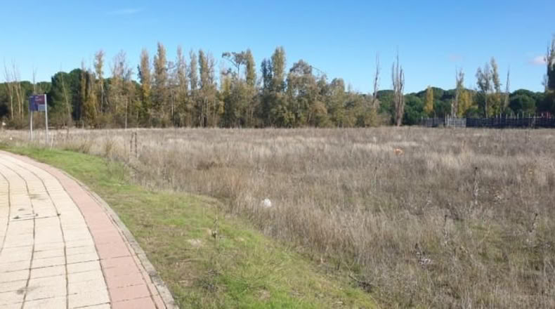 Valladolid - Aldeamayor de San Martín - 1184m2