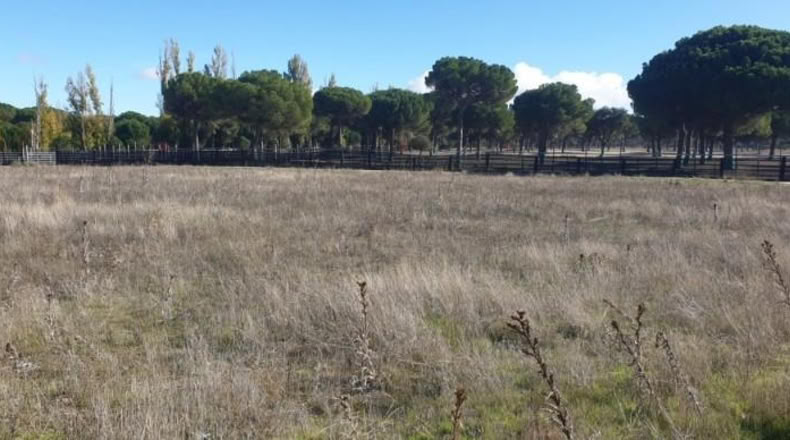 Valladolid - Aldeamayor de San Martín - 1184m2