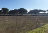 Parcela urbanizable en venta en la España, Aldeamayor de San Martín, ref: TR117127 foto
