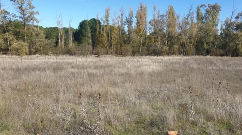 Valladolid - Aldeamayor de San Martín - 1184m2