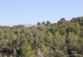 Sòl urbà en venda a la España, Piera, ref.: TR124818 foto