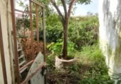 Casa de poble en venda a la España, Aldea del Cano, ref.: TR315290 foto