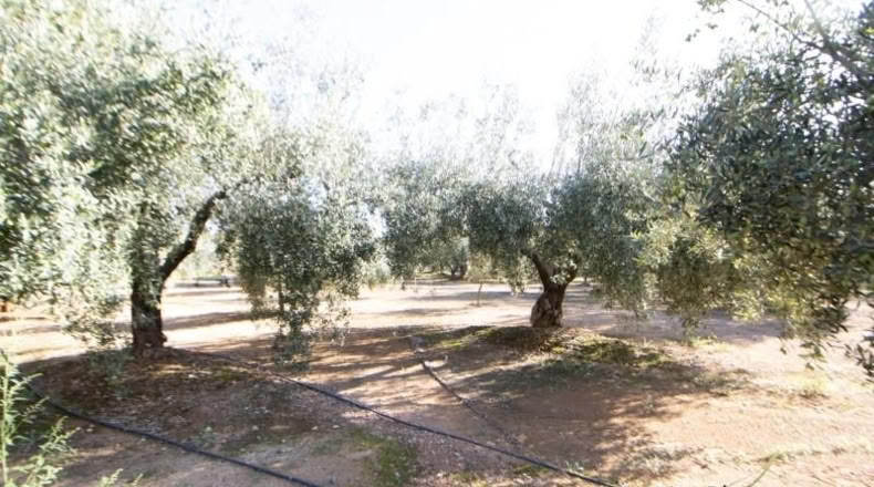 Tarragona - Santa Bàrbara - 14000m2