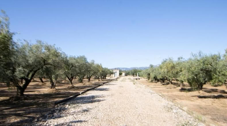 Tarragona - Santa Bàrbara - 14000m2