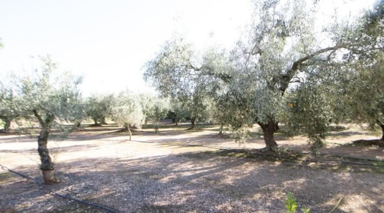 Tarragona - Santa Bàrbara - 14000m2