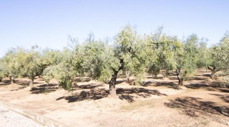 Tarragona - Santa Bàrbara - 14000m2