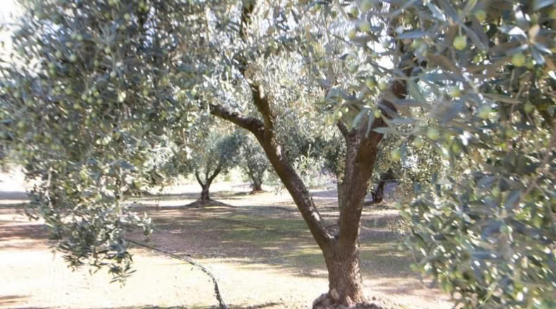 Tarragona - Santa Bàrbara - 14000m2
