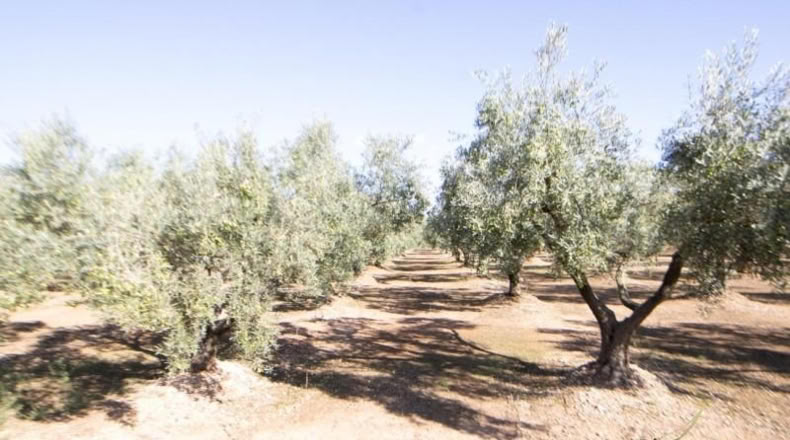 Tarragona - Santa Bàrbara - 14000m2