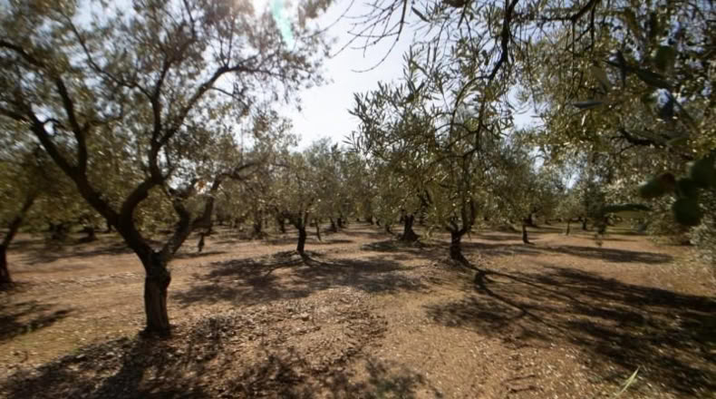 Tarragona - Santa Bàrbara - 14000m2