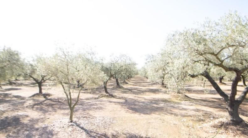 Tarragona - Santa Bàrbara - 14000m2