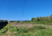 Terreny no urbanitzable en venda a la España, Ponferrada, ref.: TR121488 foto