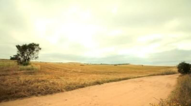 Badajoz - Badajoz - 1000m2