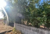 Terreny no urbanitzable en venda a la España, Camponaraya, ref.: TR123650 foto