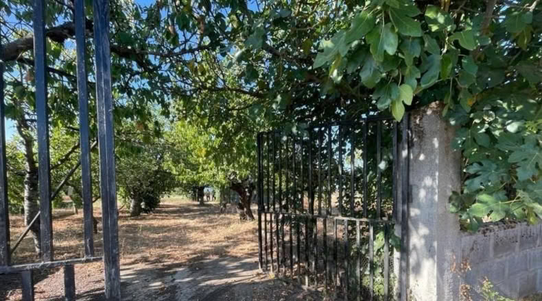 Leon - Camponaraya - 3000m2