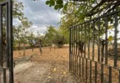 Terreny no urbanitzable en venda a la España, Camponaraya, ref.: TR123650 foto