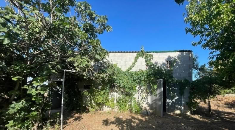 Leon - Camponaraya - 3000m2