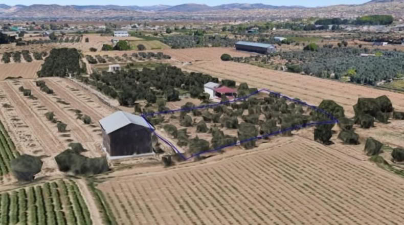 Astúries - Los Llanos - 2061m2