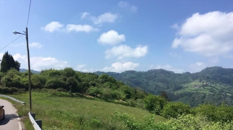 Asturias - Villaviciosa - 15000m2