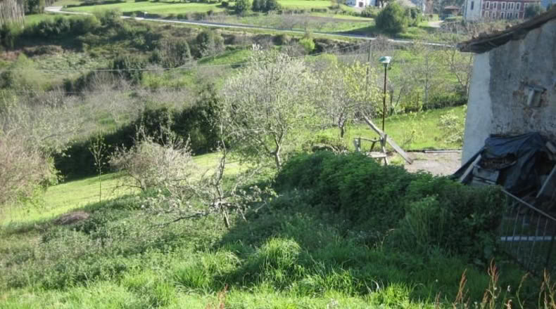 Asturias - Villaviciosa - 15000m2