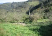 Terreny no urbanitzable en venda a la España, Villaviciosa, ref.: TR241754 foto