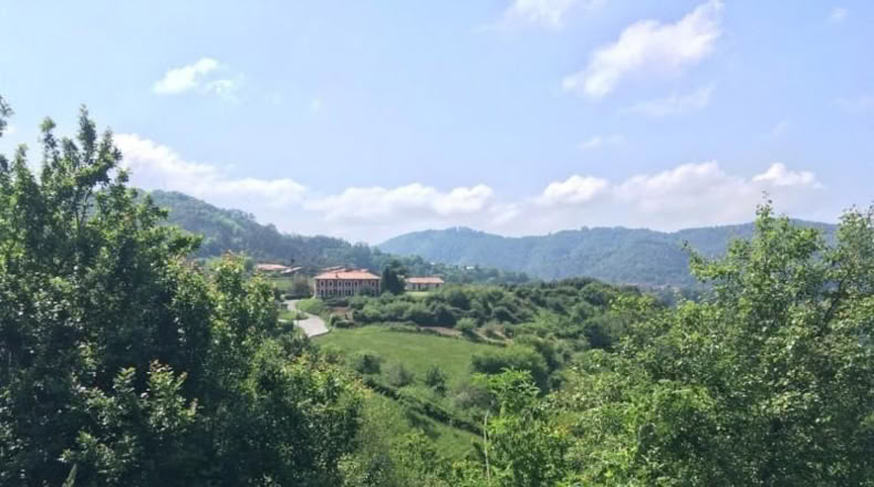 Asturias - Villaviciosa - 15000m2