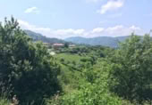 Terreny no urbanitzable en venda a la España, Villaviciosa, ref.: TR241754 foto