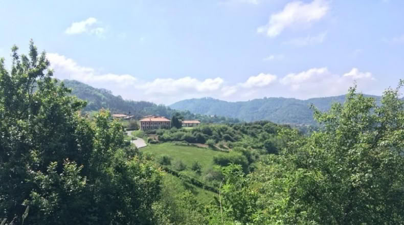 Asturias - Villaviciosa - 15000m2