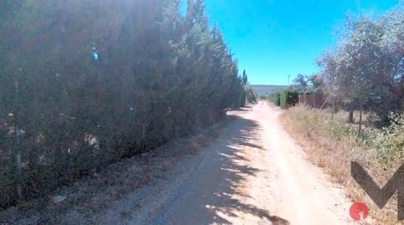 Sevilla - Arahal - 1150m2