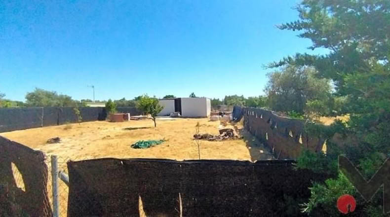 Sevilla - Arahal - 1150m2