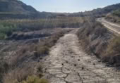 Xalet independent amb terreny en venda a la España, Archena, ref.: TR269182 foto