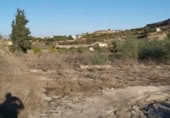 Xalet independent amb terreny en venda a la España, Archena, ref.: TR269182 foto