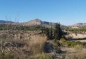 Xalet independent amb terreny en venda a la España, Archena, ref.: TR269182 foto